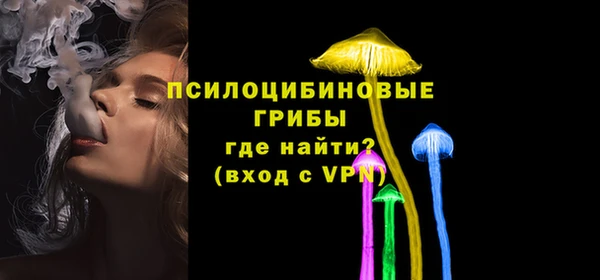 ГАЛЛЮЦИНОГЕННЫЕ ГРИБЫ Пересвет