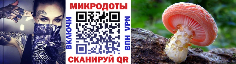 mega как войти  Ладушкин  Псилоцибиновые грибы GOLDEN TEACHER 